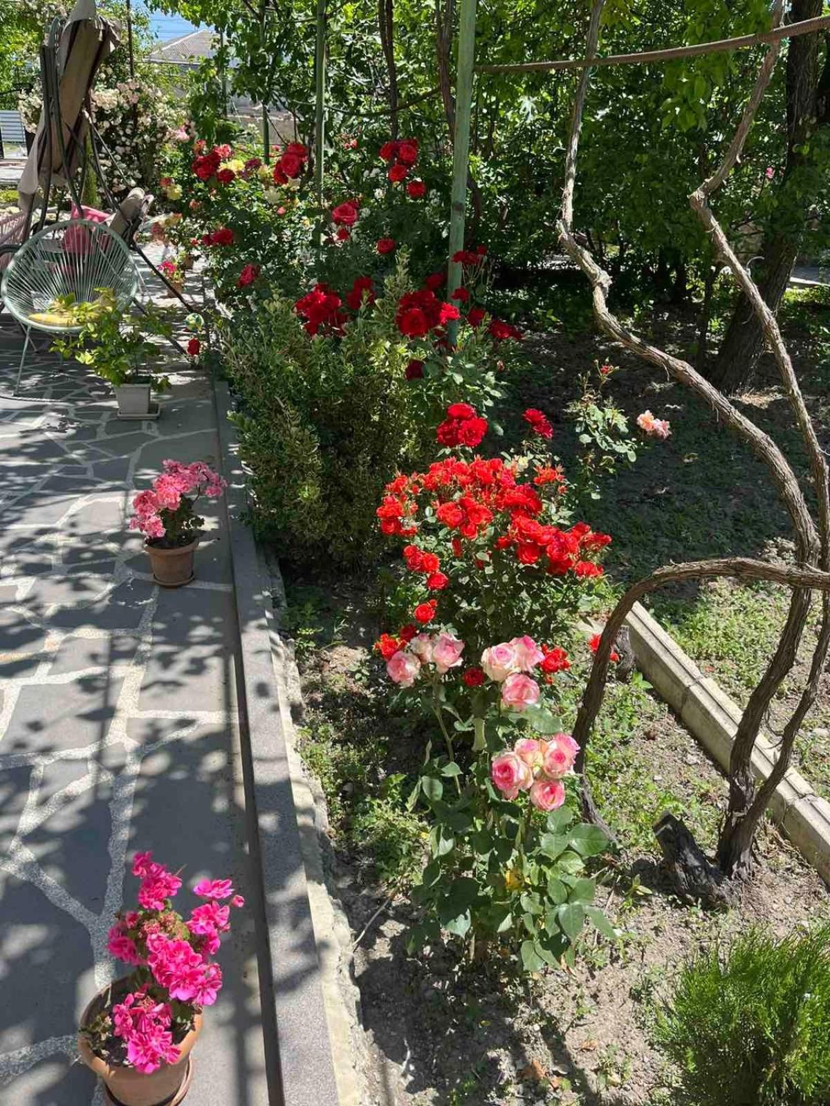 Ekas Rosengarten Gori Exterior photo