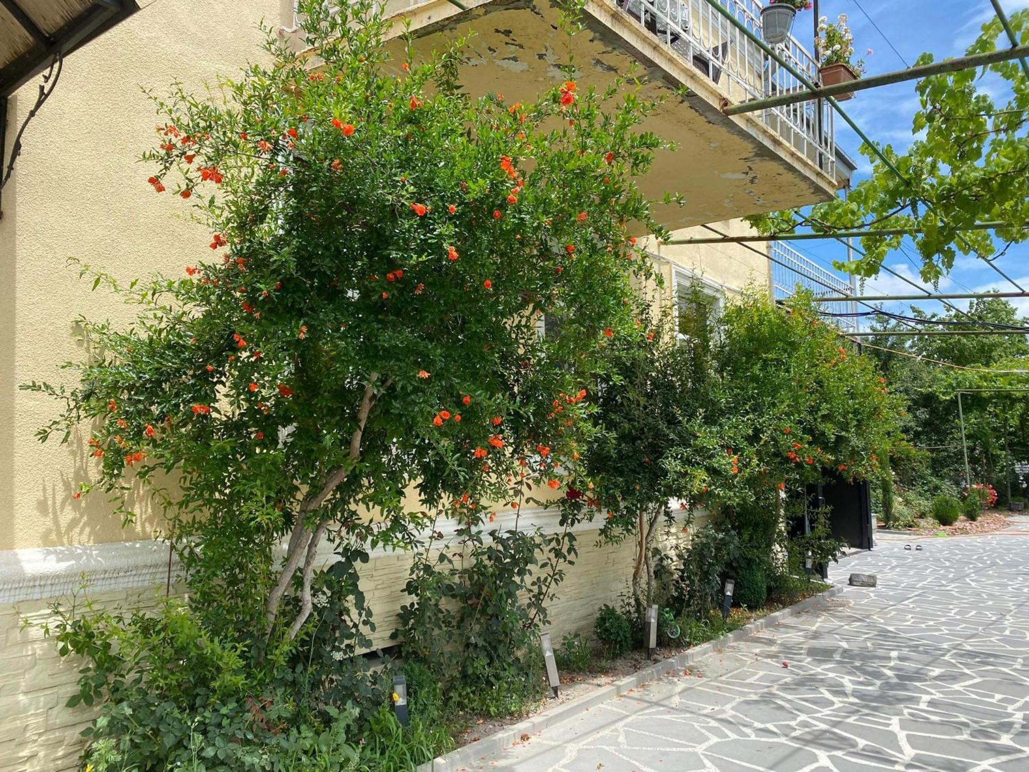 Ekas Rosengarten Gori Exterior photo